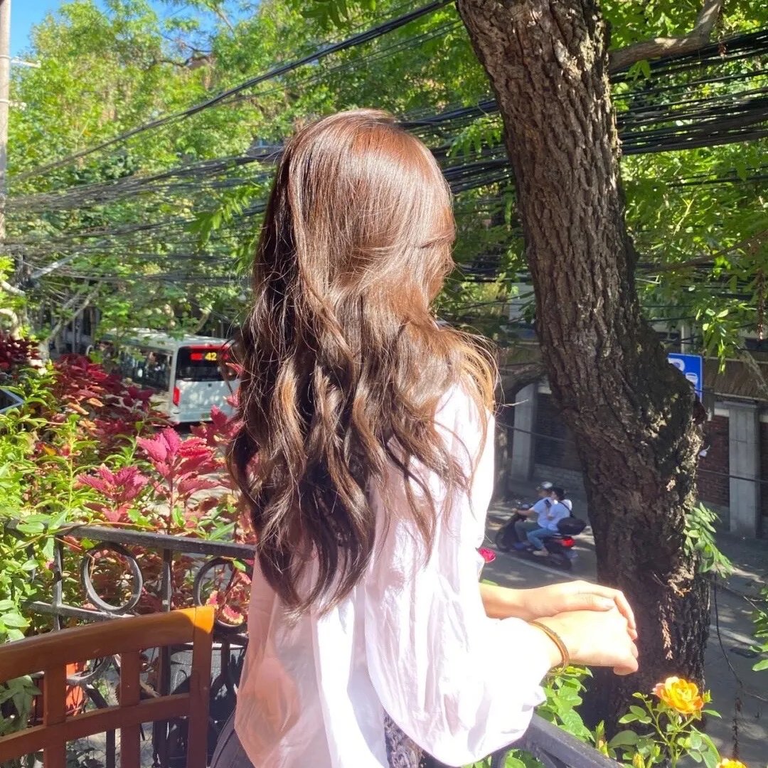 我的吸血鬼姊妹